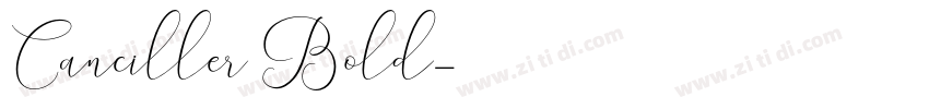 Canciller Bold字体转换